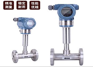 http://www.jx10156000.com液氮靶式流量計(jì)
